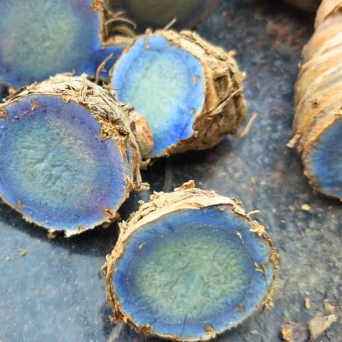 Fresh Black Turmeric Root, Uptp 100g