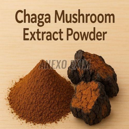 Chaga Mushroom Extract Powder