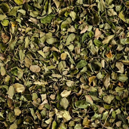 Dried Moringa Leaves