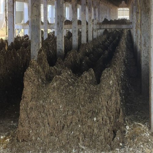 Powder Chicken Manure