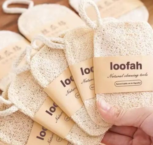 Natural Loofah Dish Scrub