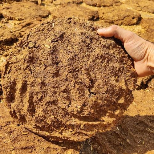 Cow Dung Cake