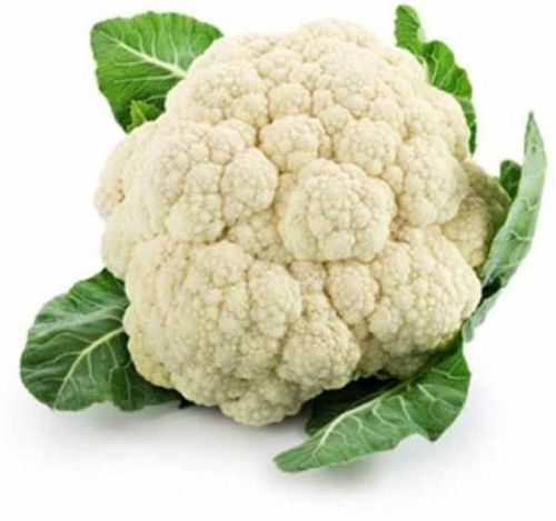 Fresh Cauliflower