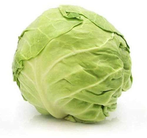 Fresh Green Cabbage