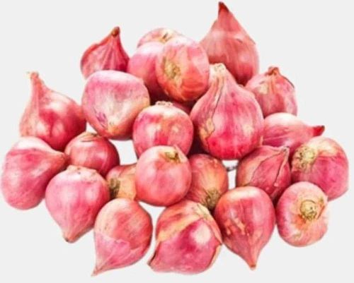 Fresh Pink Onion