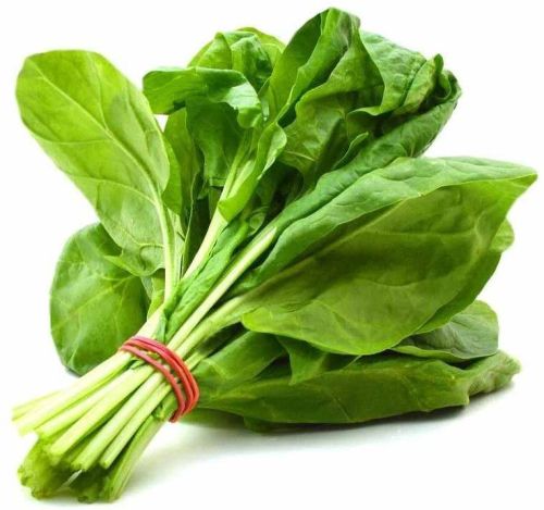 Fresh Spinach Leave