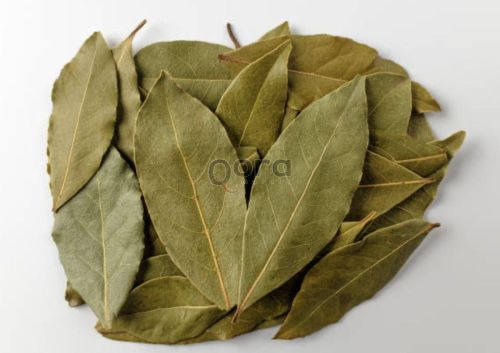 Dry Bay Leaf