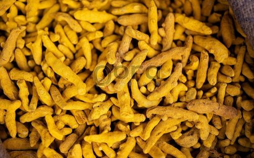 Whole Turmeric Finger