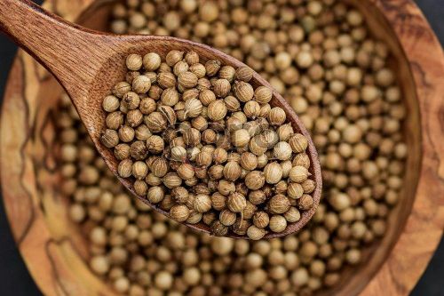 Whole Coriander Seed