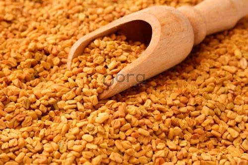 Whole Fenugreek Seed
