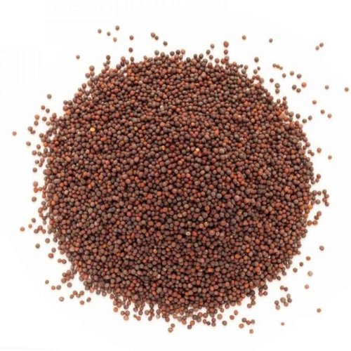 Brown Mustard Seeds