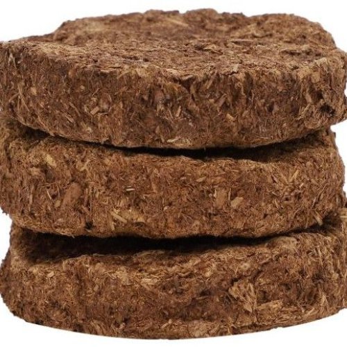 Cow Dung Cake