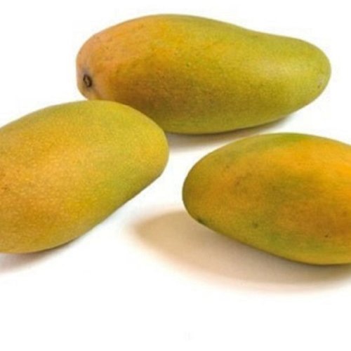 Fresh Dasheri Mango