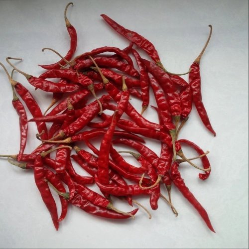 Guntur Sannam Dry Red Chilli
