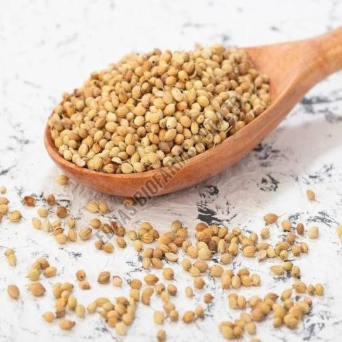 Eagle Coriander Seeds
