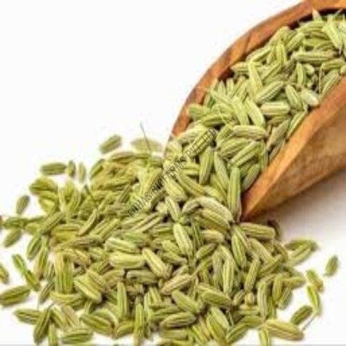 Europe Quality Fennel Seeds