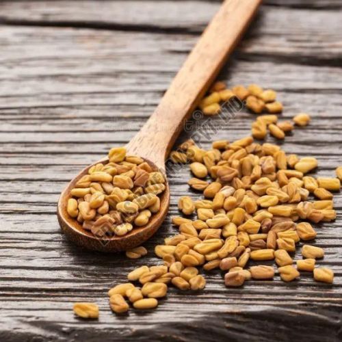 FAQ Sortex Fenugreek Seeds