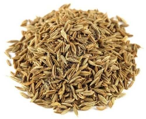 Premium Cumin Seeds