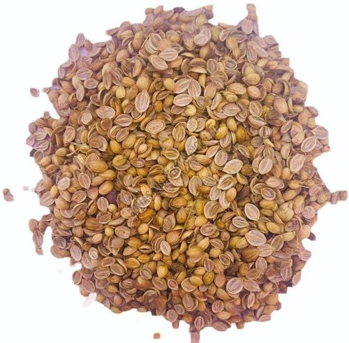 Split Coriander Seeds