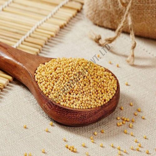 Yellow Mustard Seeds
