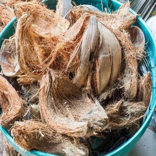 Dried Coconut Husk