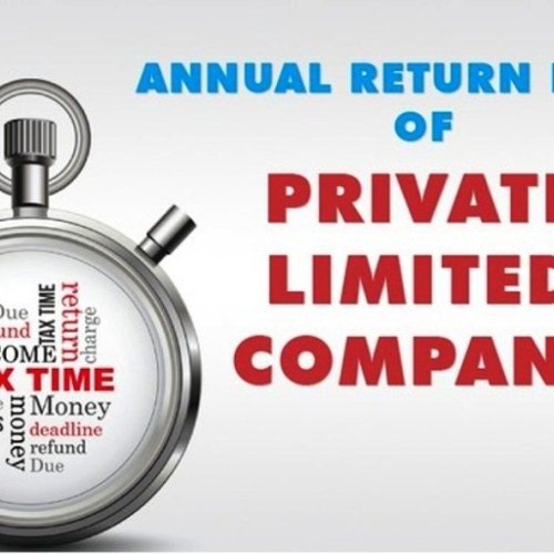 Company Annual Compliance Filing Service