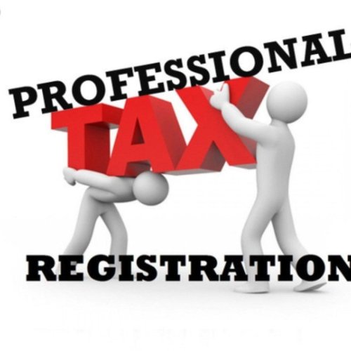 Professional Tax Registration Service