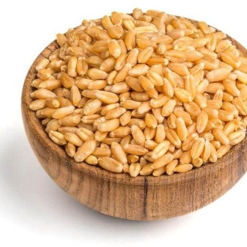 Natural Whole Wheat Grain