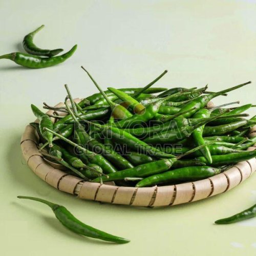 A Grade Fresh Green Chilli