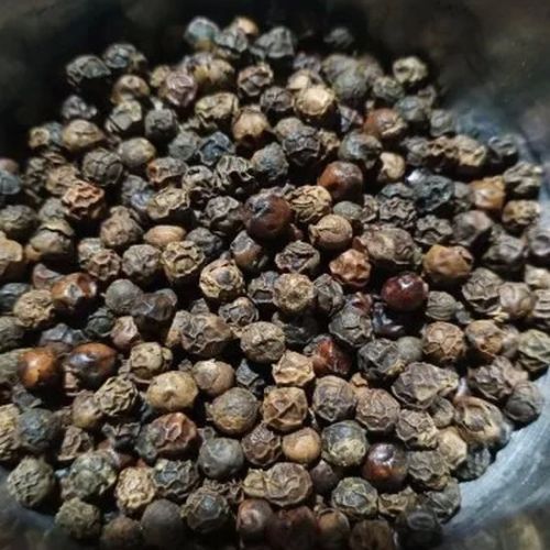 550 GL Black Pepper Seeds