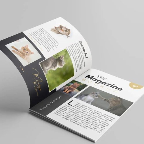 Magazine Printing Services