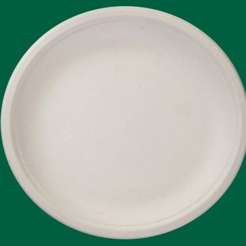 9 Inch Round Bagasse Disposable Plate