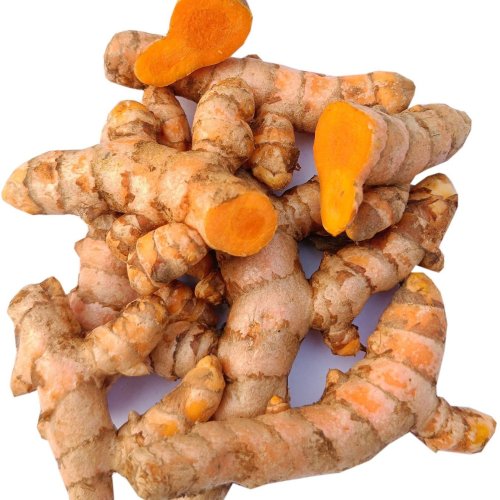 Fresh Turmeric Finger