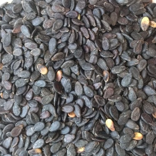 Natural Watermelon Seeds