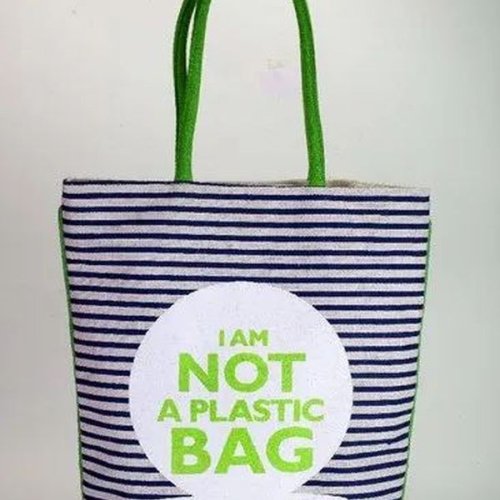 Striped Printed Canvas Bag