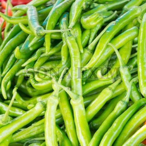 Fresh Green Chilli