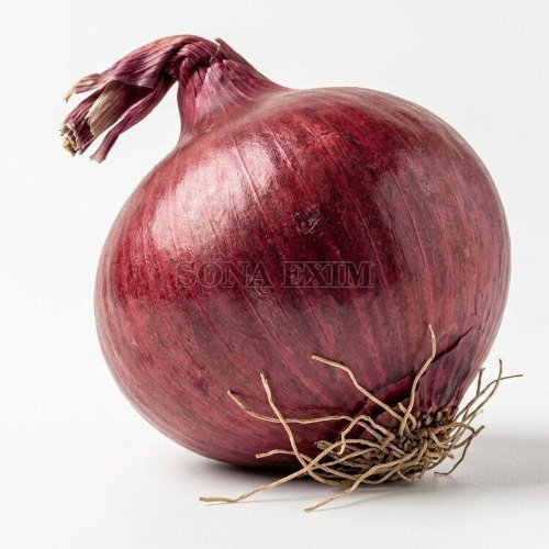 Fresh Red Onion