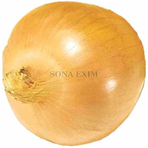 Fresh Yellow Onion