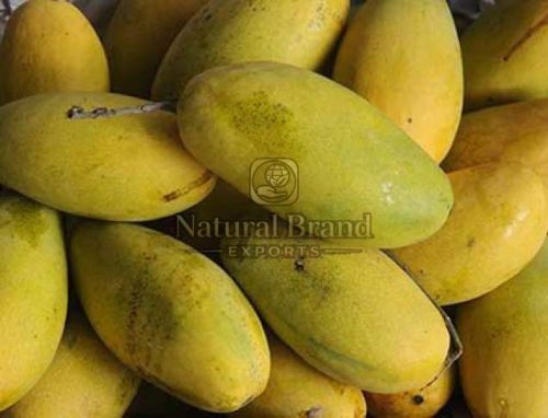 A Grade Dasheri Mango