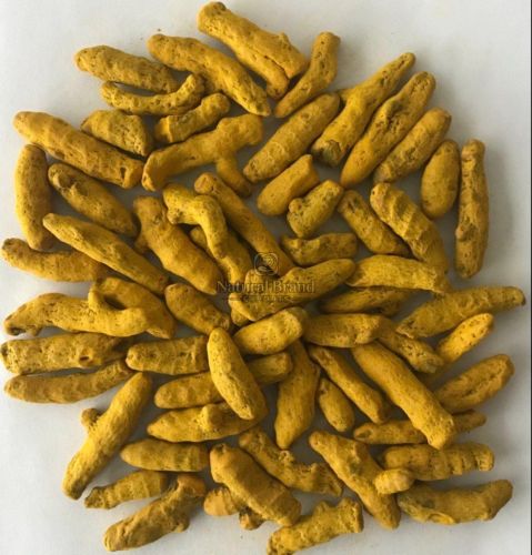 Dried Alleppey Turmeric Finger