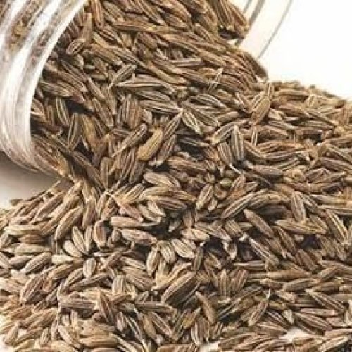 Premium Whole Cumin Seeds
