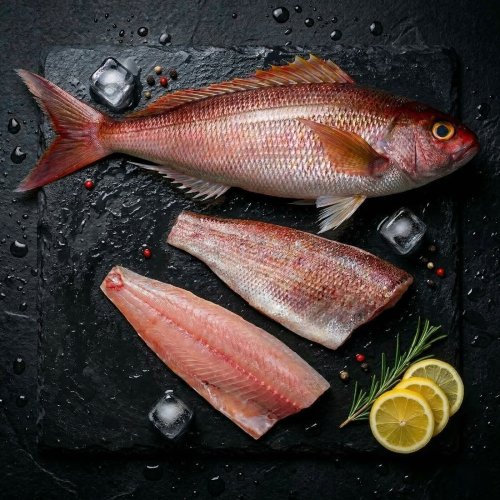 Frozen Red Snapper Fish