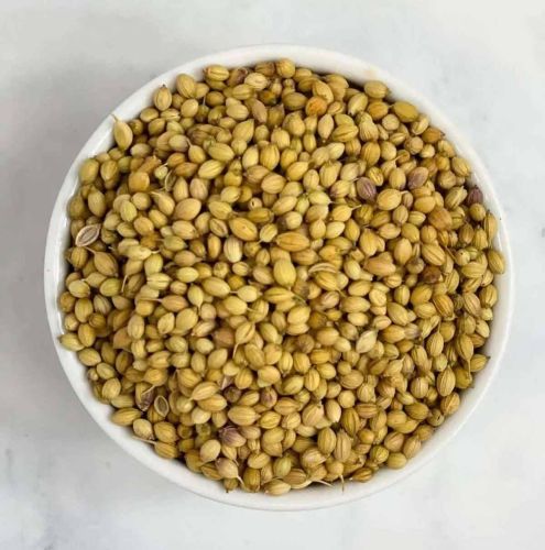 Badami Sortex Clean Coriander Seed