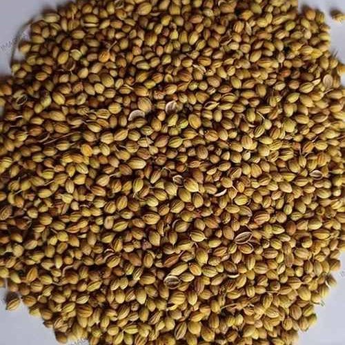 Eagle Machine Clean Coriander Seed