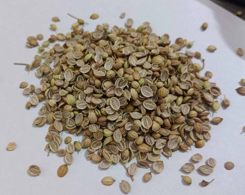 Eagle Plus Split Coriander Seed