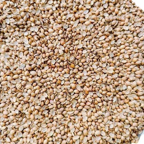 SP Split Machine Cleaned Coriander Seed
