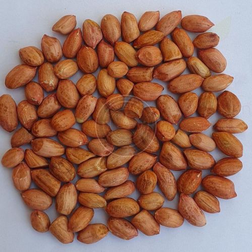 40/50 Bold Peanuts
