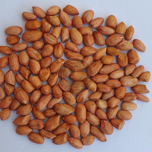 50/60 Bold Peanuts