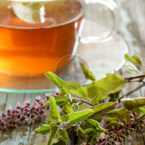 Herbal Tulsi Tea