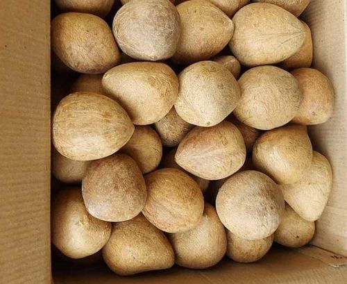 Dry Coconut Copra
